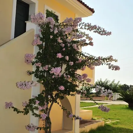 Captain's Villas Daire *